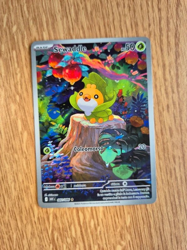 Sewaddle Fuori serie