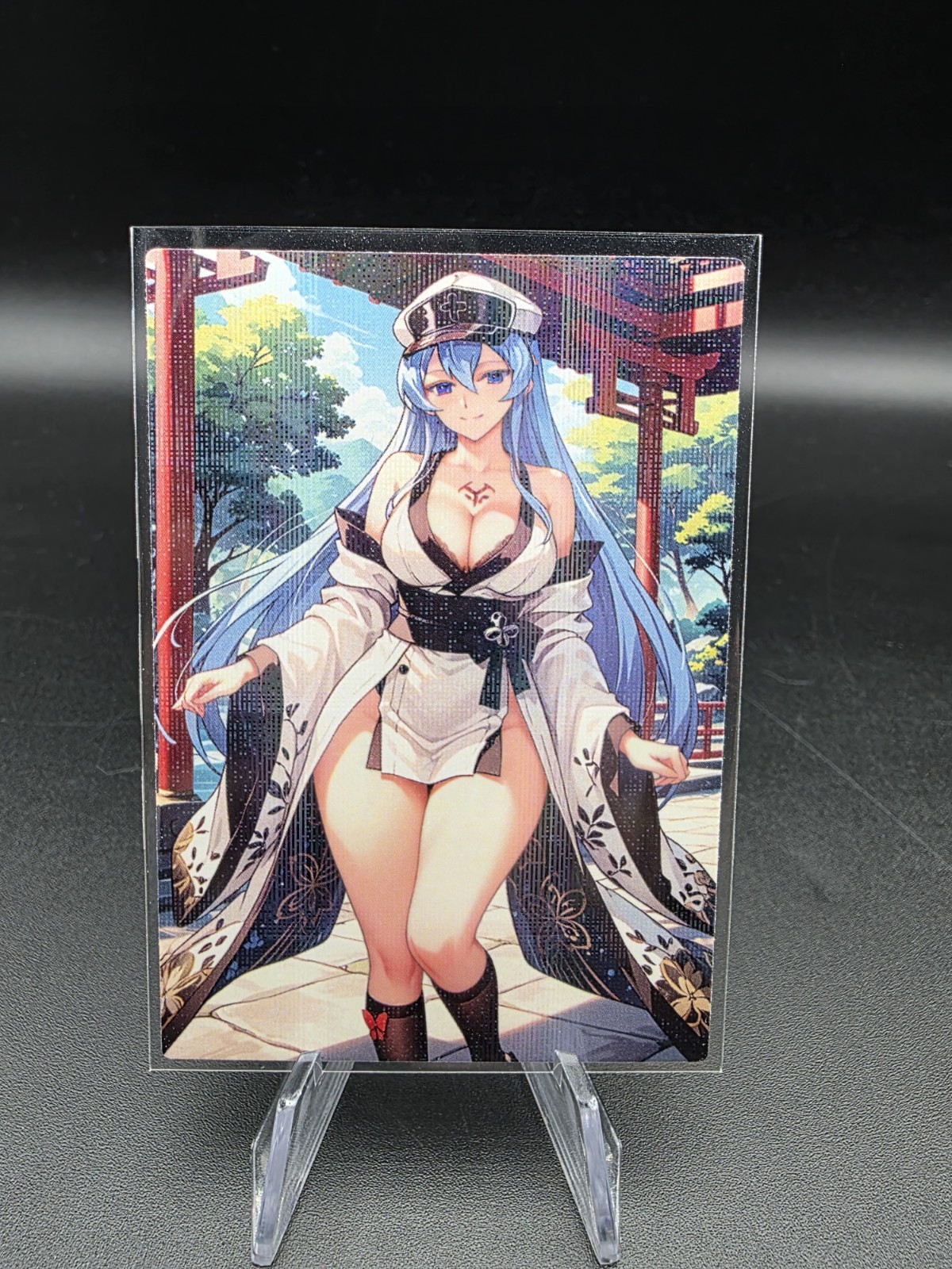 Esdeath Akame Ga Kill Anime olografico carta collezionabile da collezione