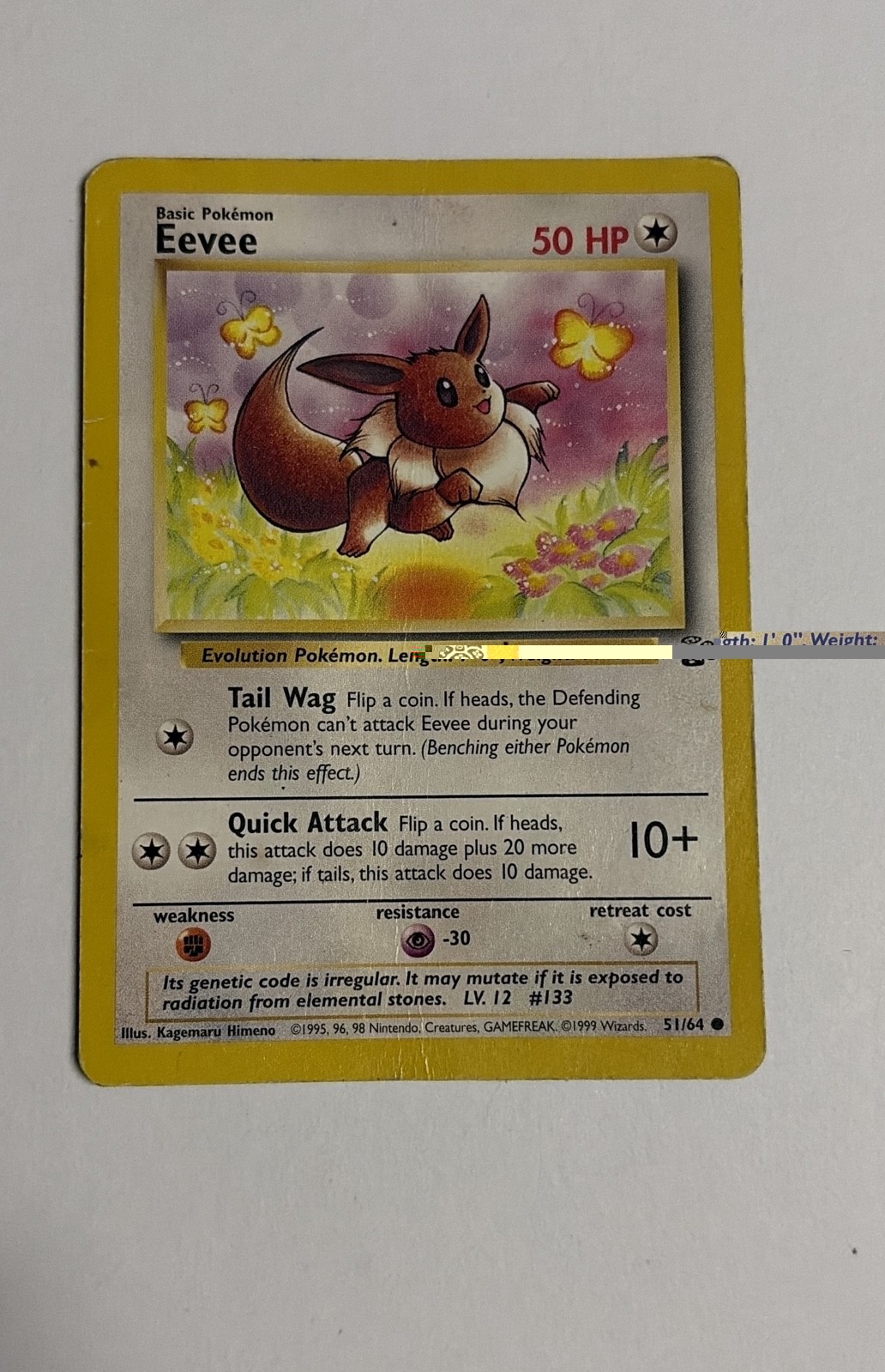 Eevee 51/64 Jungle Regular