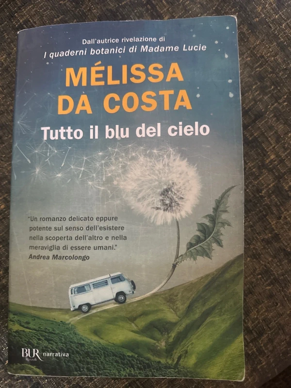 Libro Tutto il blu del cielo