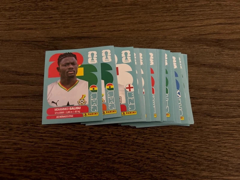 27 panini Karten