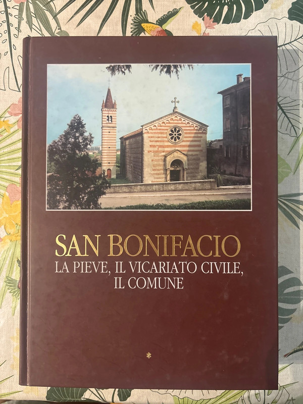 San Bonifacio, la Pieve, il vicariato civile, il Comune