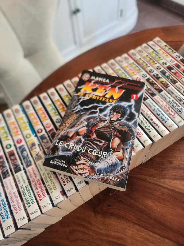 Manga Ken le survivant