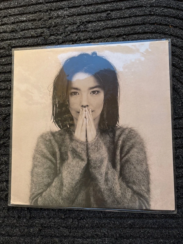 Vinyle Bjöjrk