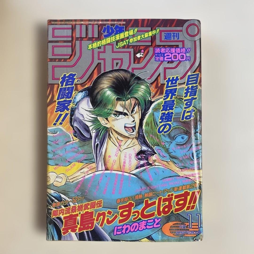Salto settimanale Shonen 1995 n. 11 salti Masahiro kun