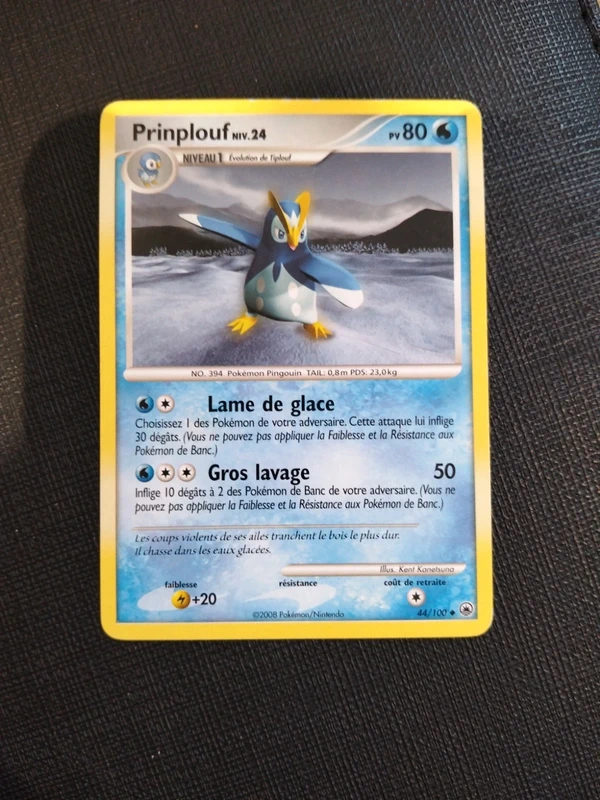 Prinplouf 44/100