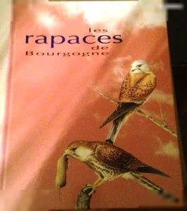 Les Rapaces De Bourgogne Luc Strenna