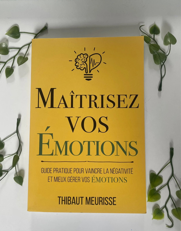 Livre: Maîtrisez vos émotions de Thibault Meurisse