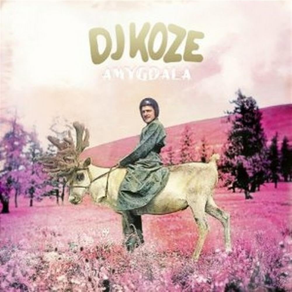 DJ Koze Amygdala Doppio 12 Inch Vinile NUOVO