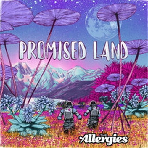 THE ALLERGIES PROMISED LAND (CD) ALBUM