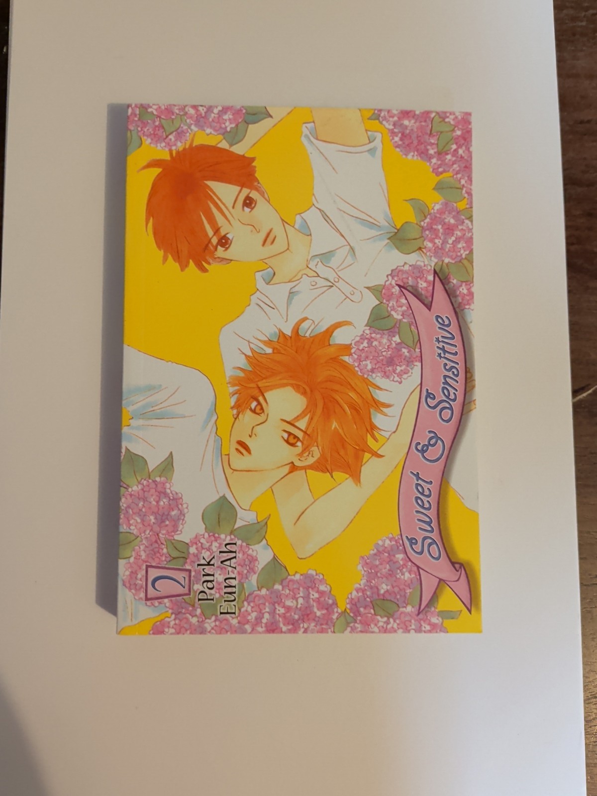 Sweet and Sensitive Vol 2 usato manga inglese graphic novel fumetto