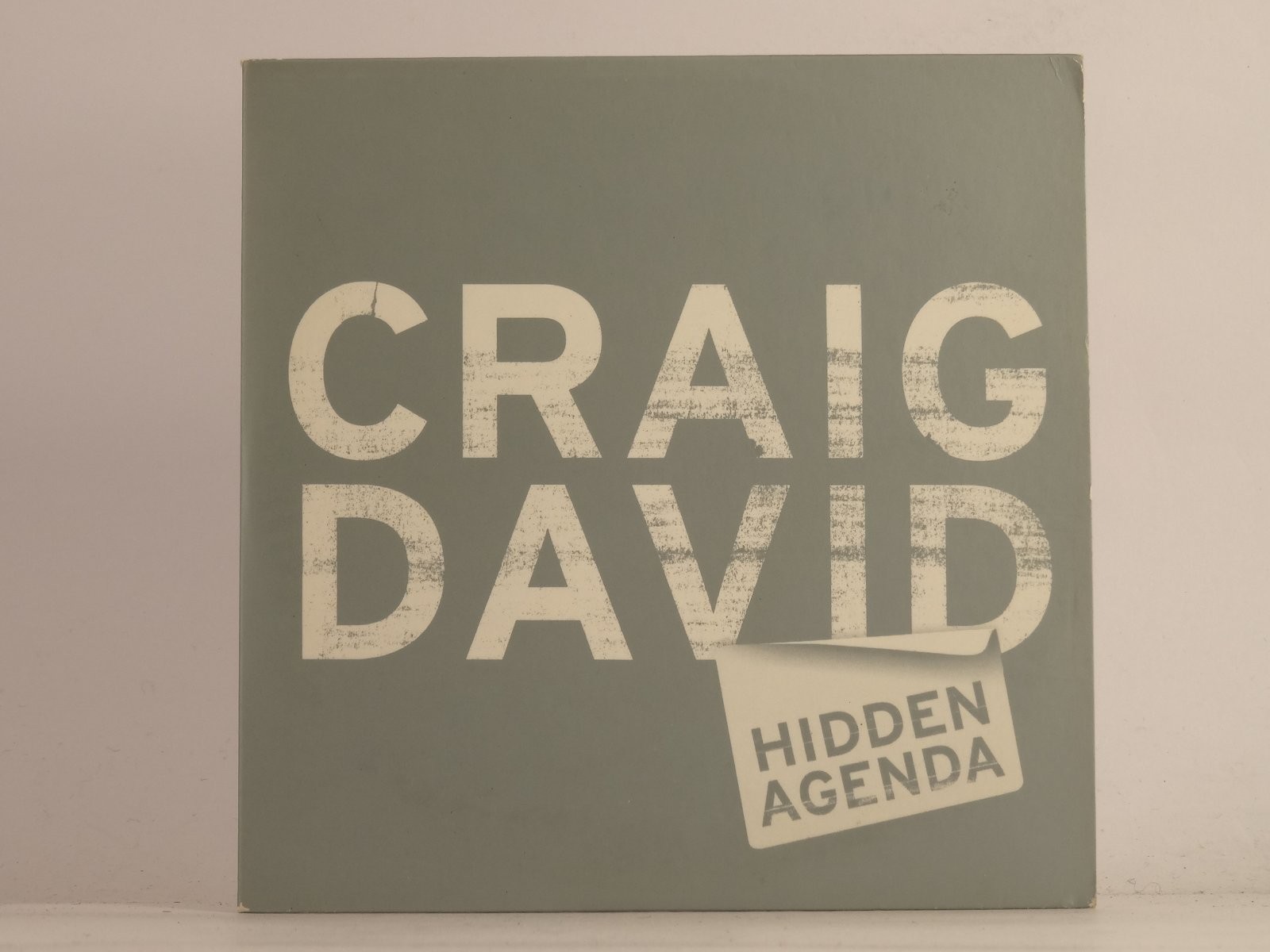 CRAIG DAVID HIDDEN AGENDA (G6) 1 Track Promo CD Single plus Card Sleeve WILDSTAR