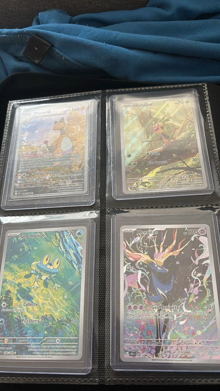 Carte pokemon