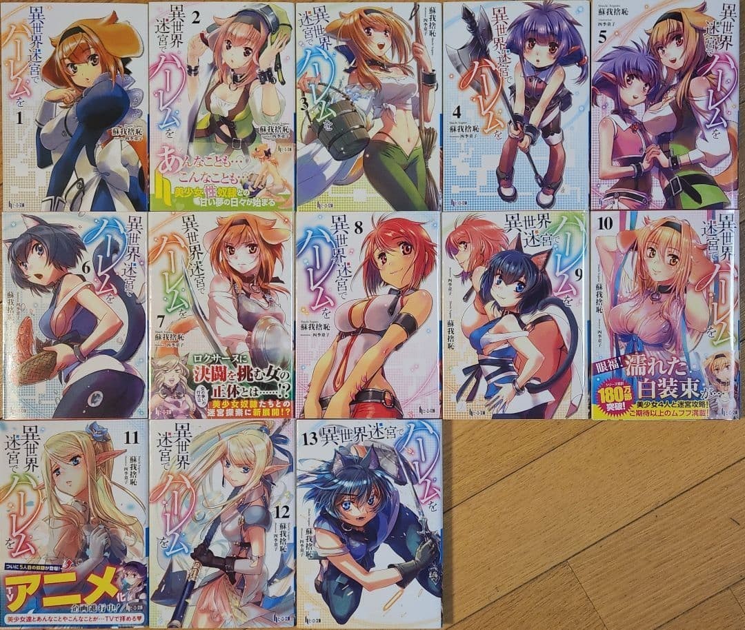 Set di 13 harem nel labirinto di un altro mondo vol.1-13 light novel giapponese