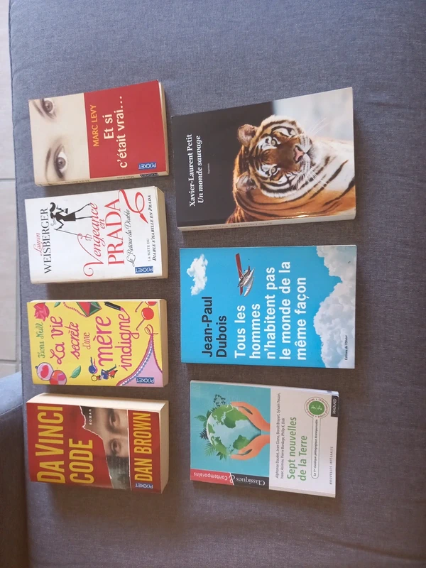 Lot de 7 livres de poche divers - Best-sellers et Prix littéraires