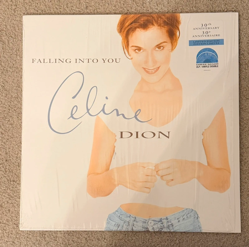 Céline Dion Falling into you