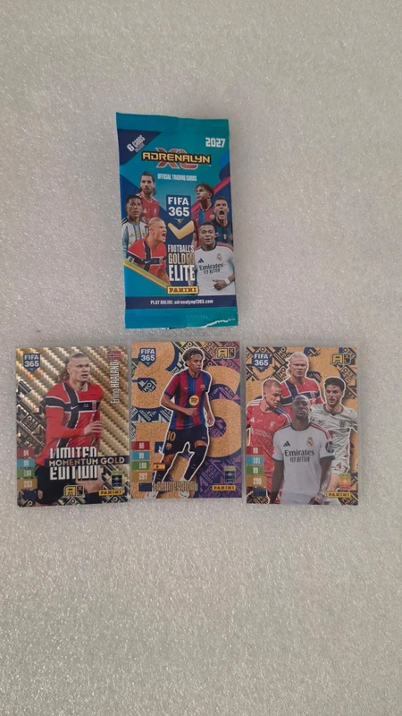 Lote momentum fifa 365 2027