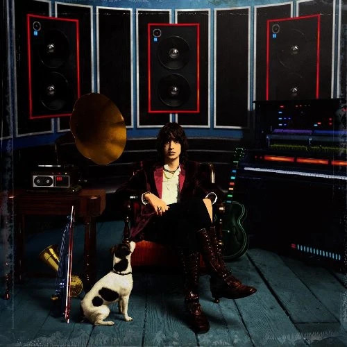 Julian Casablancas - Phrazes for the Young [LP] Vinyl Record