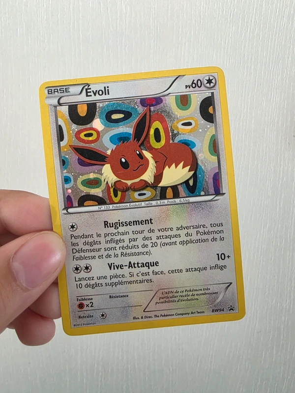 Evoli (XY promo)