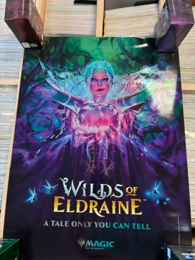 Magic the Gathering Wilds of Eldraine Foil Poster Promozionale MTG Non Mostrato NM