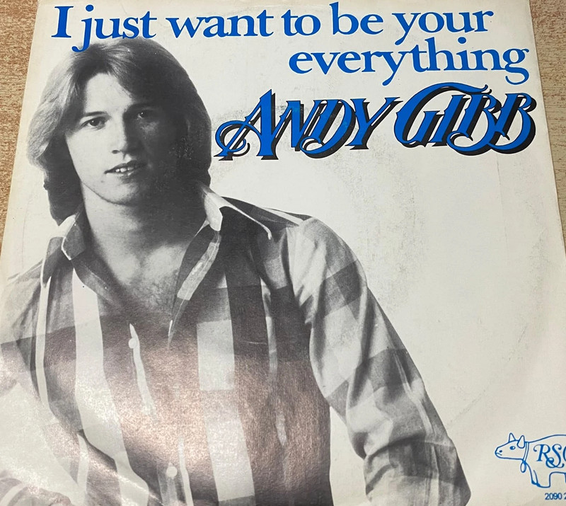45T single Andy Gibb  I just wanna be your everything