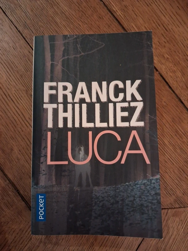 Livre - Luca - Franck Thilliez
