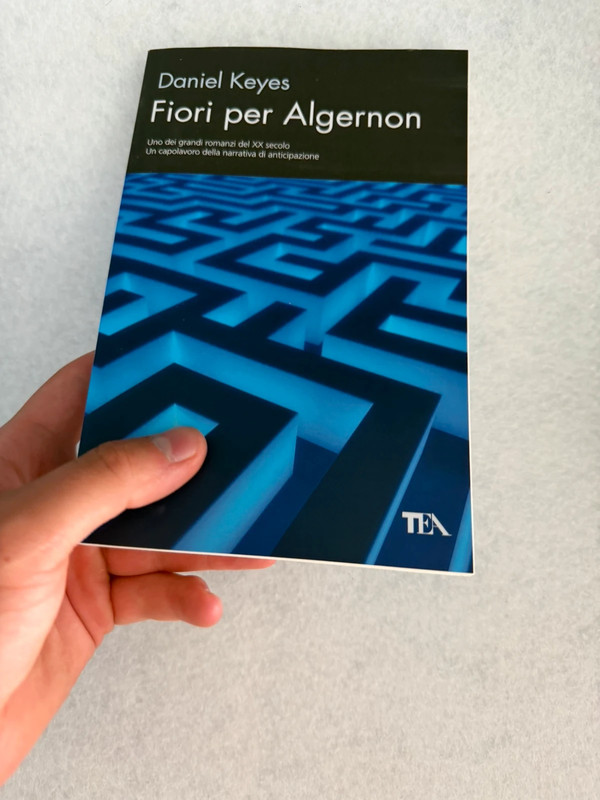 fiori per algernon