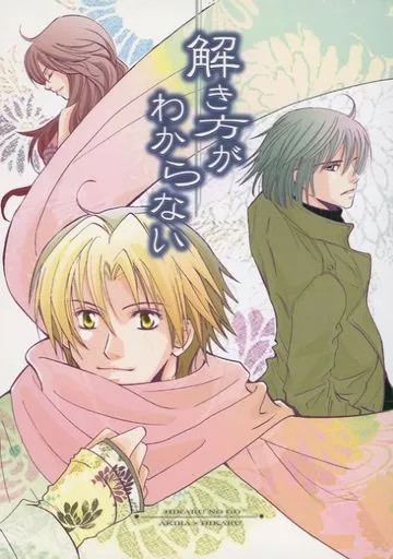 General doujinshi A5 44p Akira Takahashi x Hikaru Shindou BL da donna [Età 13+]
