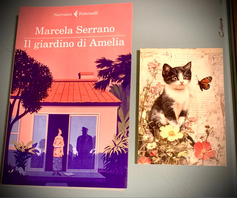 Il giardino di Amelia - Serrano