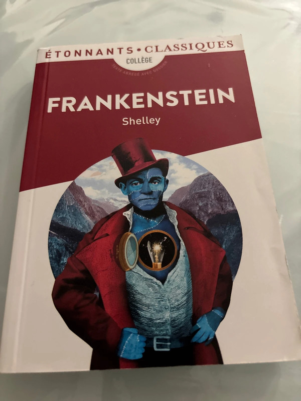 Frankenstein – Mary Shelley – Étonnants Classiques – Très bon ��tat