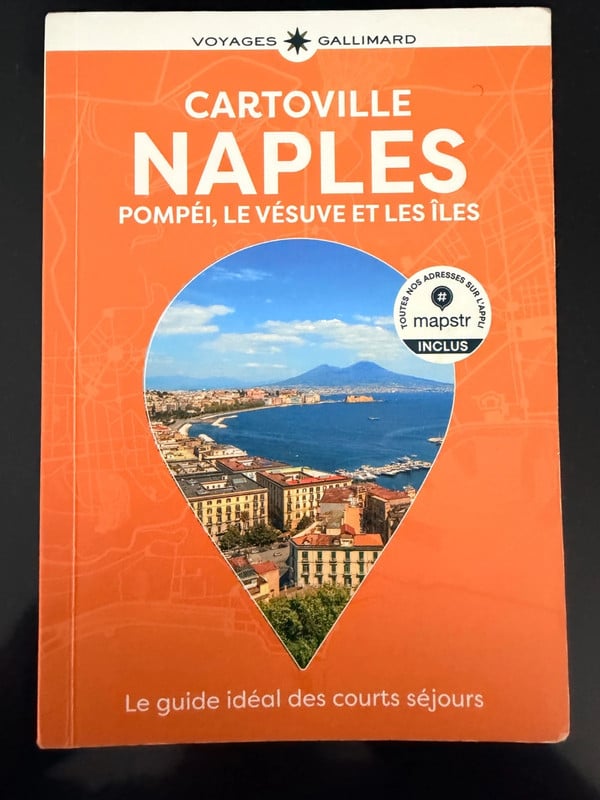 Guide Naples Cartoville