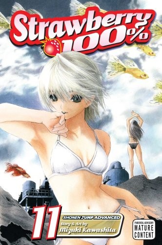 Strawberry 100% 11 - Kawashita, Mizuki
