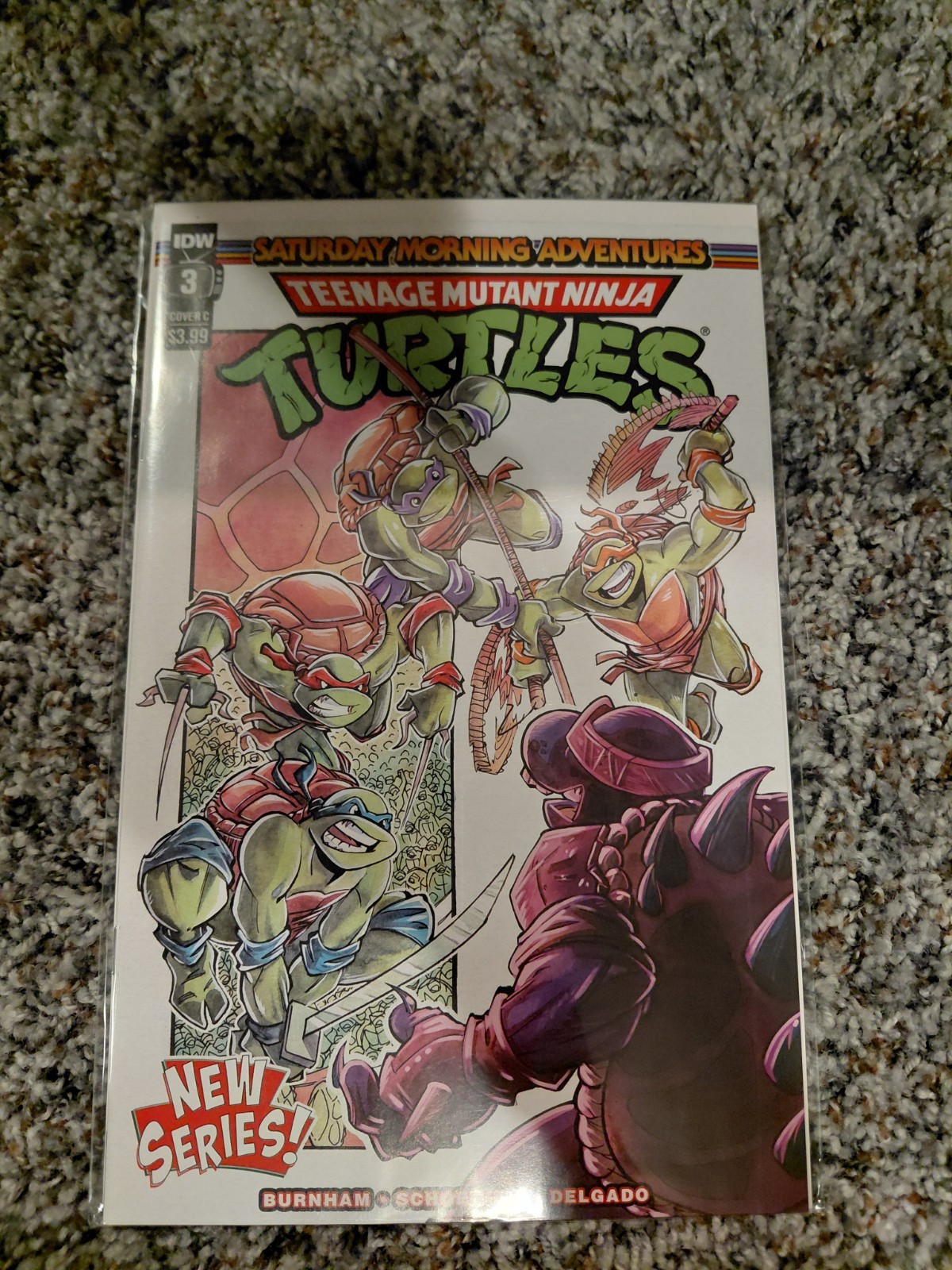 Teenage Mutant Ninja Turtles: Saturday Morning Adventures #3 Copertina C