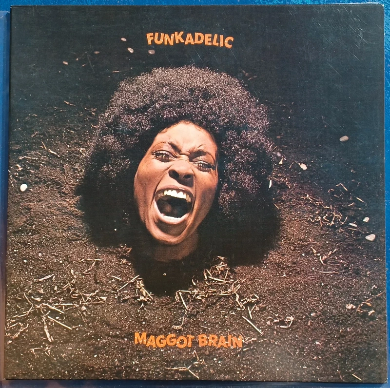 Funkadelic Maggot Brain LP Eur 2023 (NM/NM)