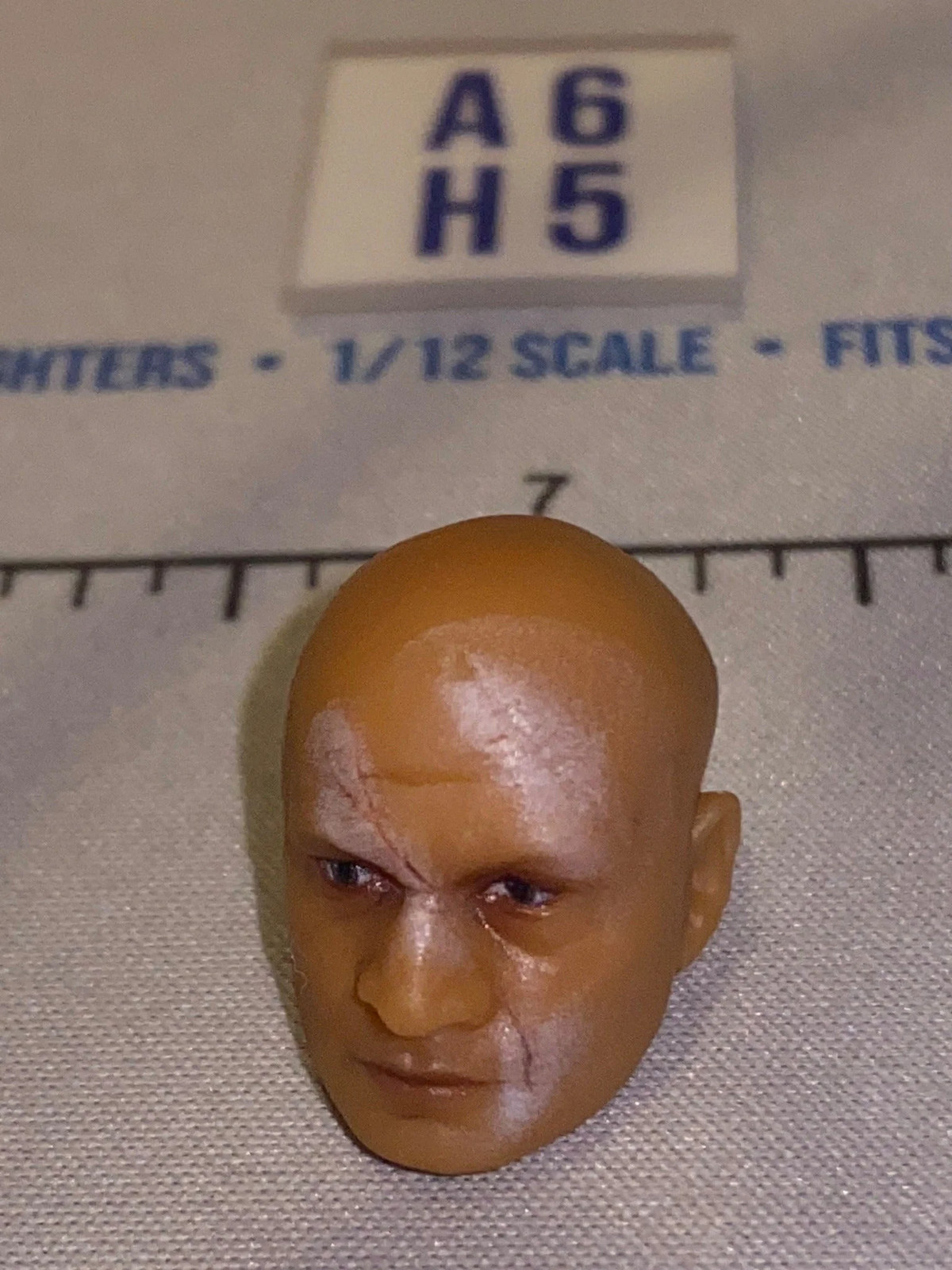 Scultura testa maschio scala 1/12 con cicatrice - Star Wars serie nera