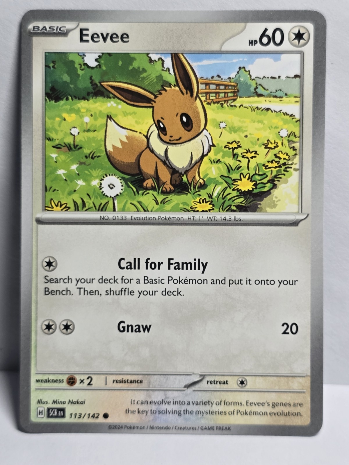 Eevee 113/142 Sv07: Corona stellare regolare
