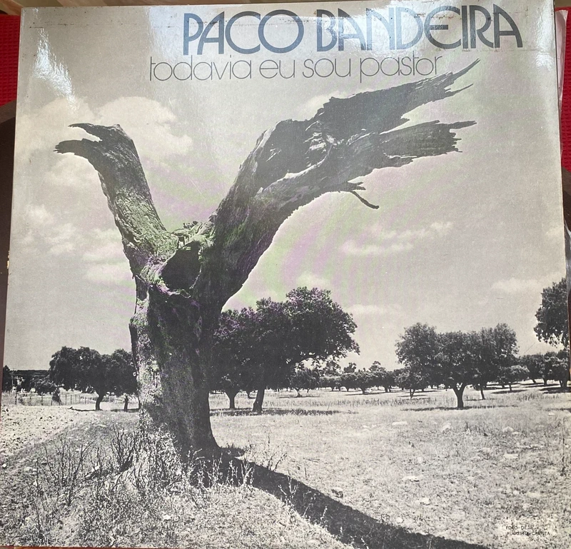 Paco Bandeira