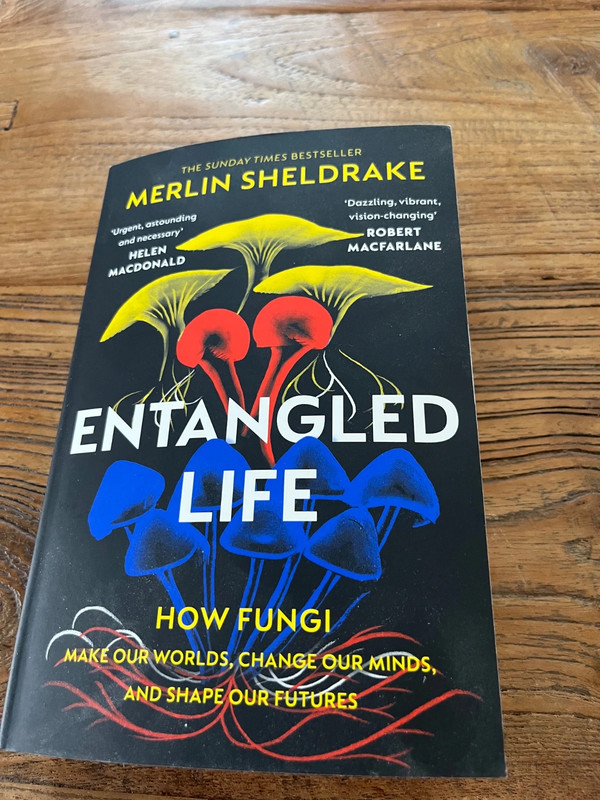 Entangled Life