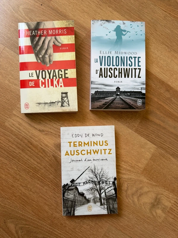 Lot 3 romans Auschwitz – Heather Morris, Ellie Midwood, Eddy de Wind