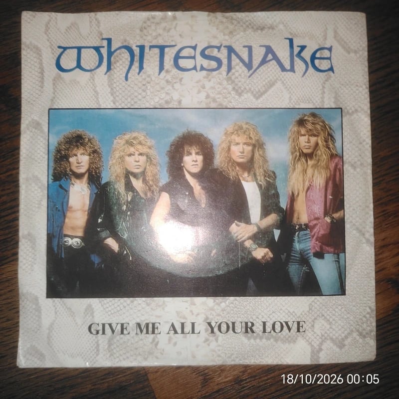 Whitesnake Give Me All Your Love B Seite Fool for Your Loving