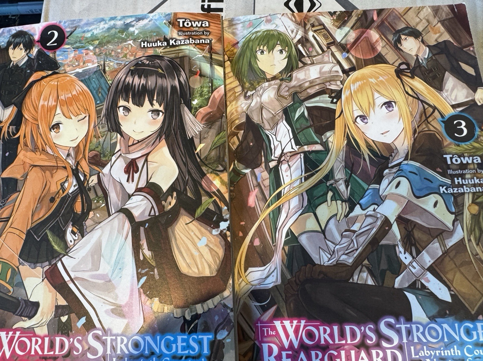 World's Strongest Rearguard: Labyrinth Country's Novice Seeker Vol 1-2 Manga