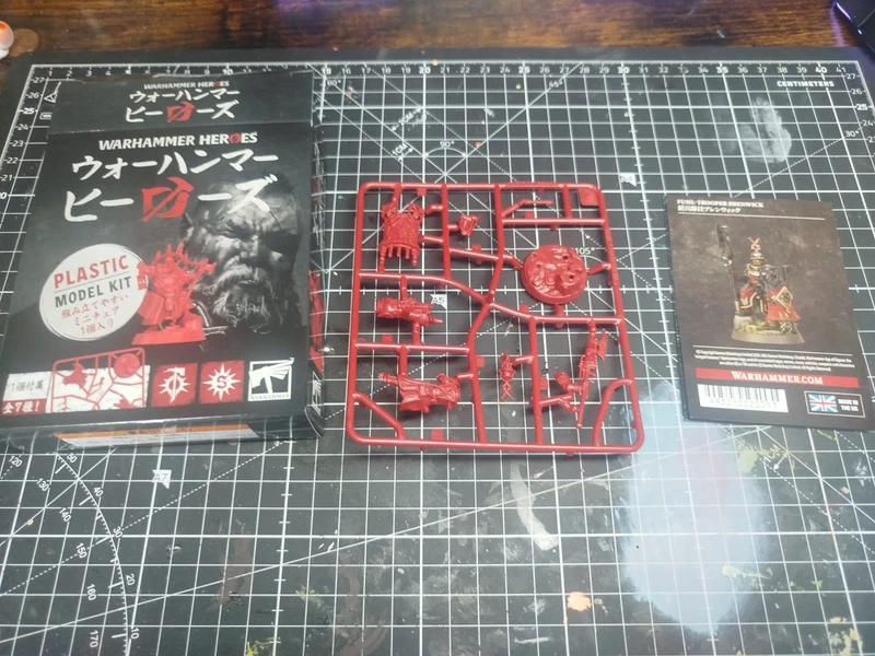 Warhammer Heroes - Cities of Sigmar - Brenwick - Brigson
