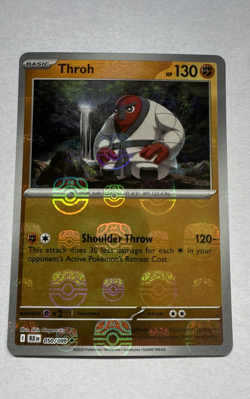 Throh (Master Ball Pattern) 050/086 Sv: Black Bolt Holo
