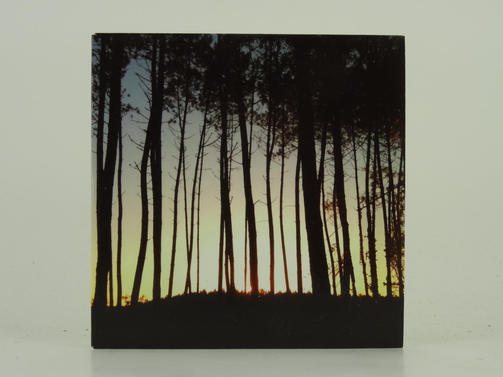 FR THE WAY TO THE FOREST (D7) 2 Track Promo CD Single including Card Sleeve DOMI