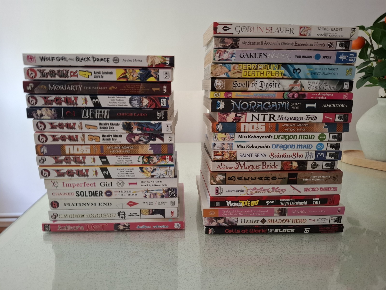 Manga Book Job Lot Bundle  34 volumes English