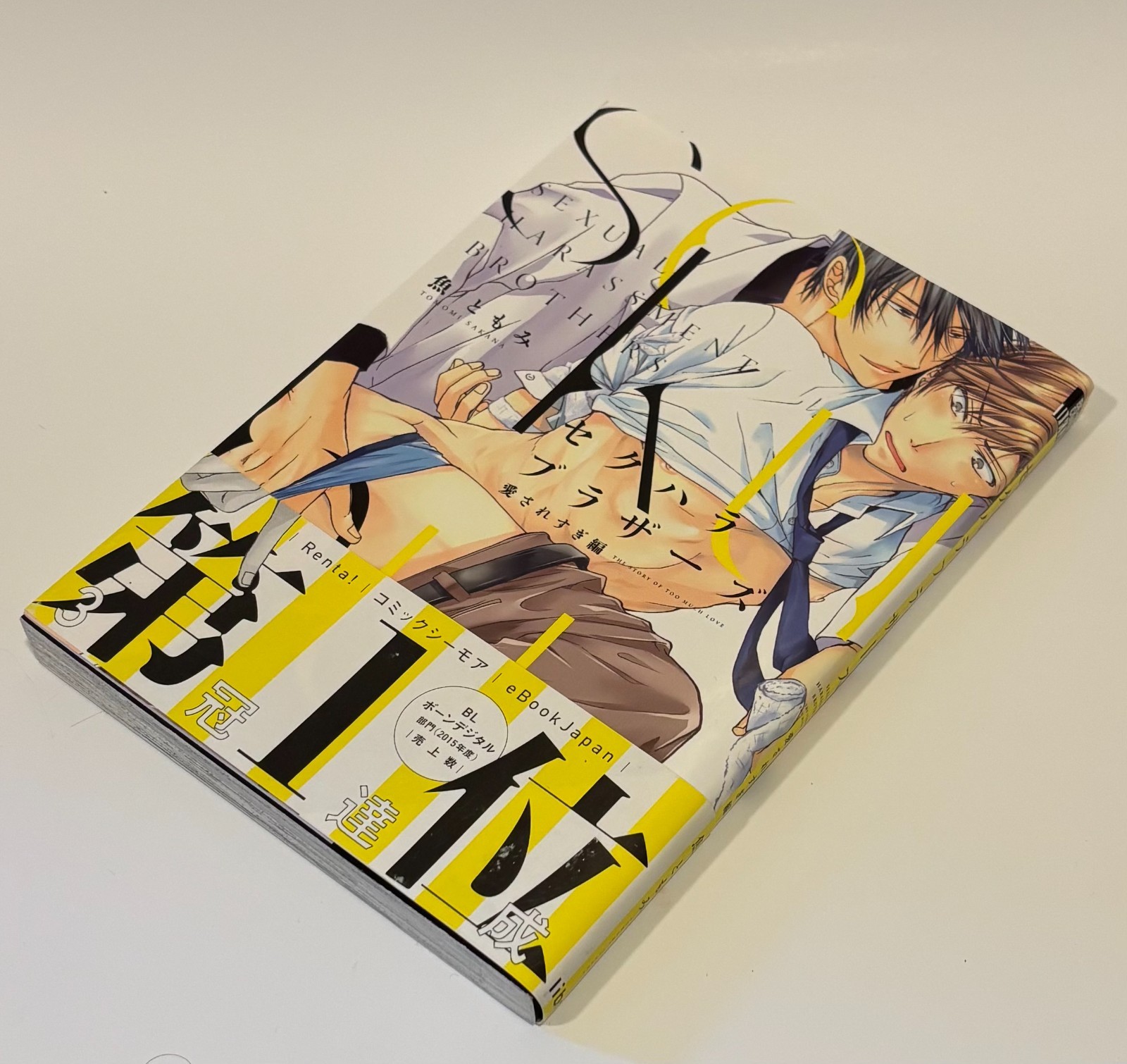 Sekuhara Brothers Aisaresugi Hen Tomomi Sakana Beboy fumetti ragazzi amore BL manga