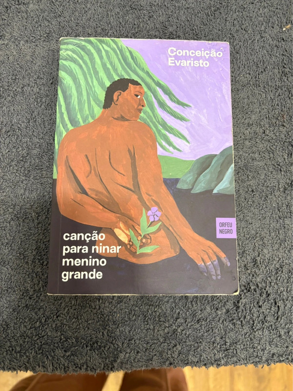 Canção para ninar menino grande