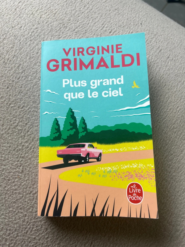 Plus Grand que le ciel de Virginie Grimaldi