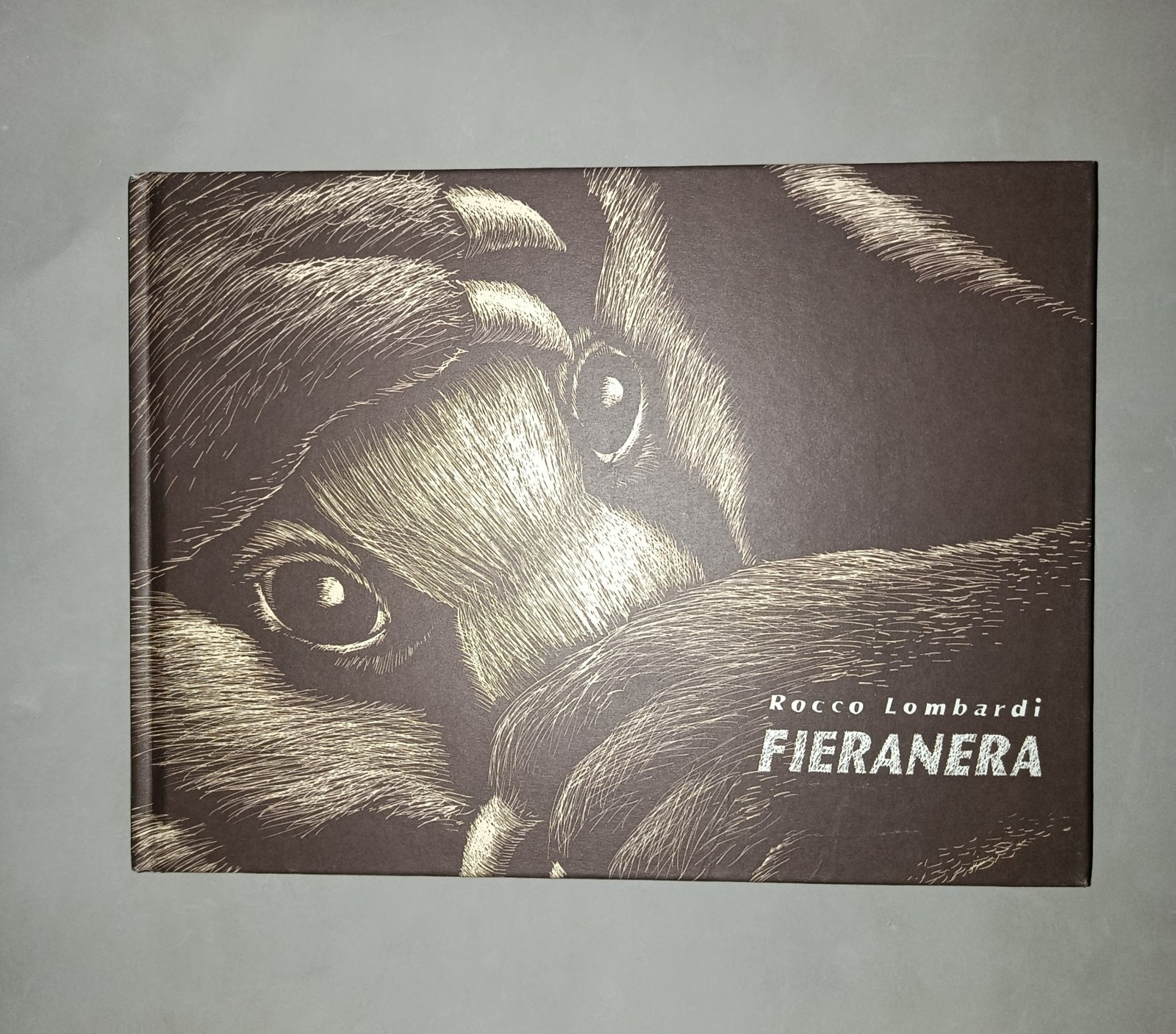 Rocco Lombardi Fieranera graphic novel copertina rigida B/N 2014 GUIDA