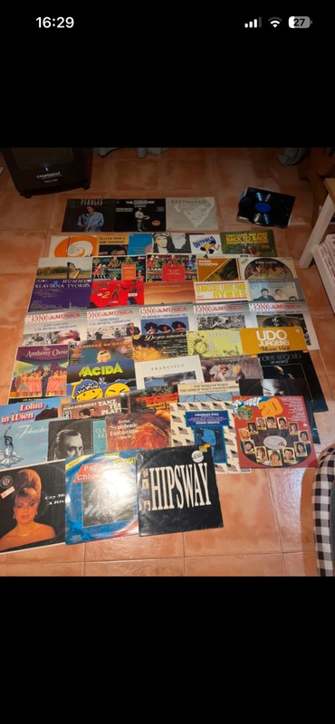 Lote vinilos 15€